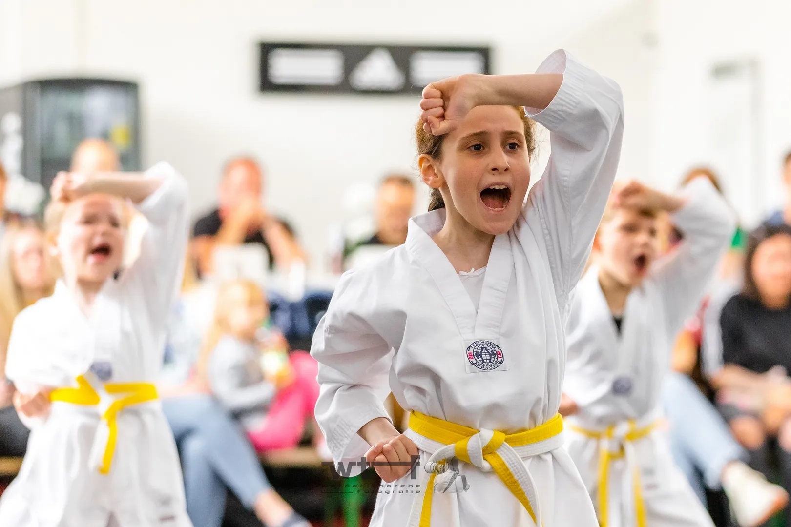 Kinder beim spielerischen Taekwondo-Training mit Grundtechniken